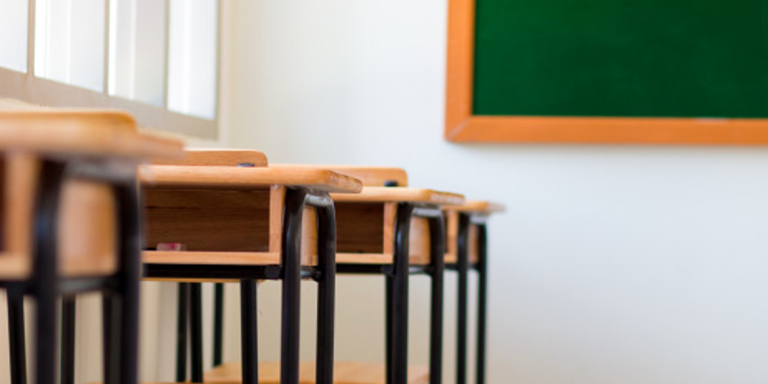 La brecha digital debería cicatrizarse en la escuela